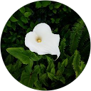 Ruth Ortiz profile picture